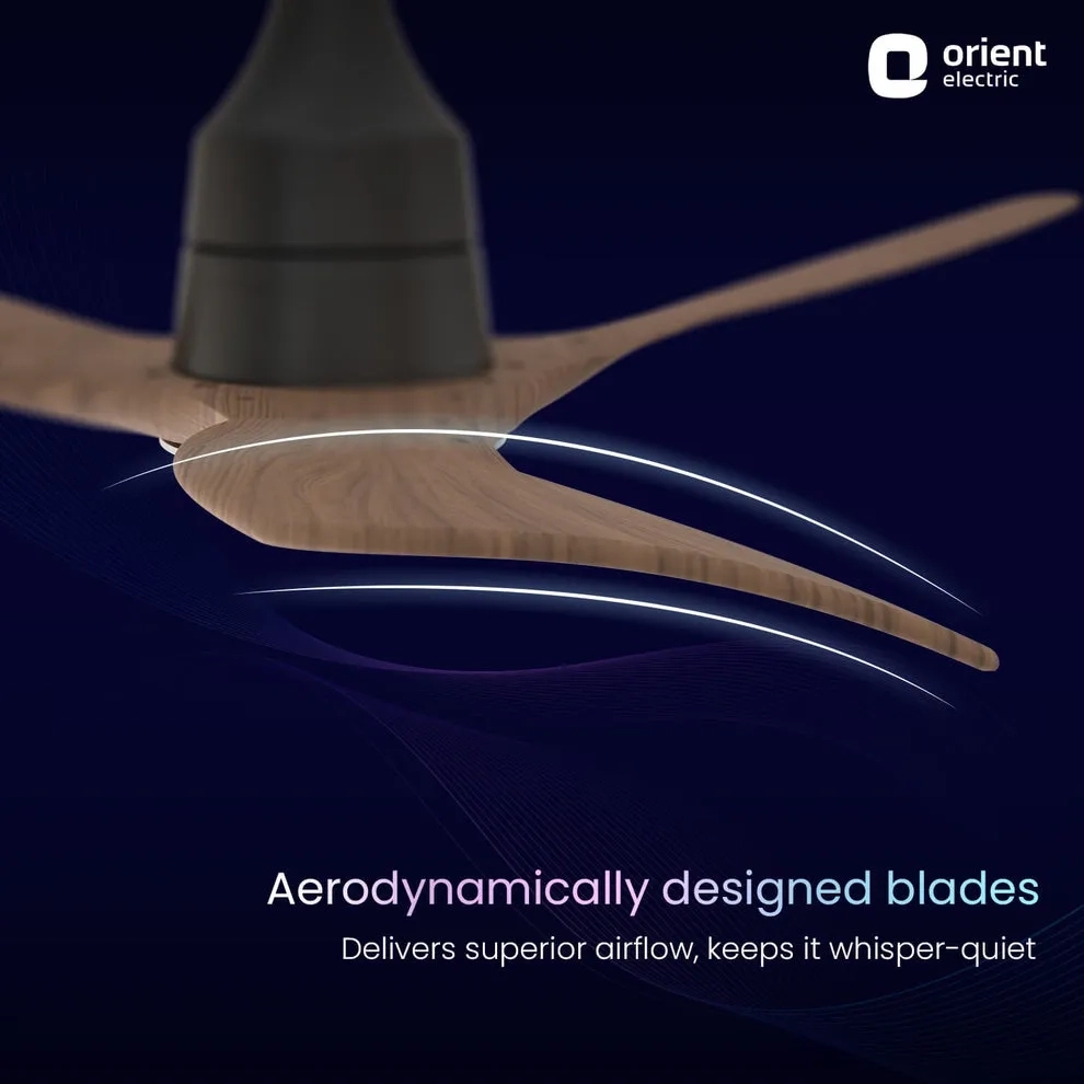 Aerosense Smart BLDC Ceiling Fan