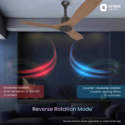 Aerosense Smart BLDC Ceiling Fan