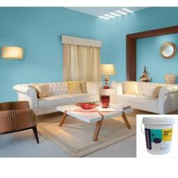 Ayyappa Hardwares – Asian Paints Dealer in Salem, Tamil Nadu listed on Building World.